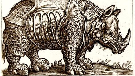Rinoceronte en libro de Antonio Tempesta, 1650. Colección BPRD