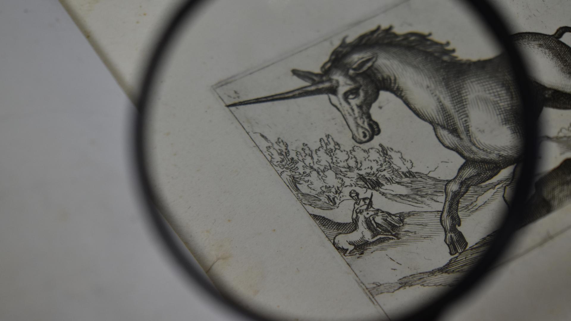 Detalle de una estampa del libro de Antonio Tempesta vista con lupa
