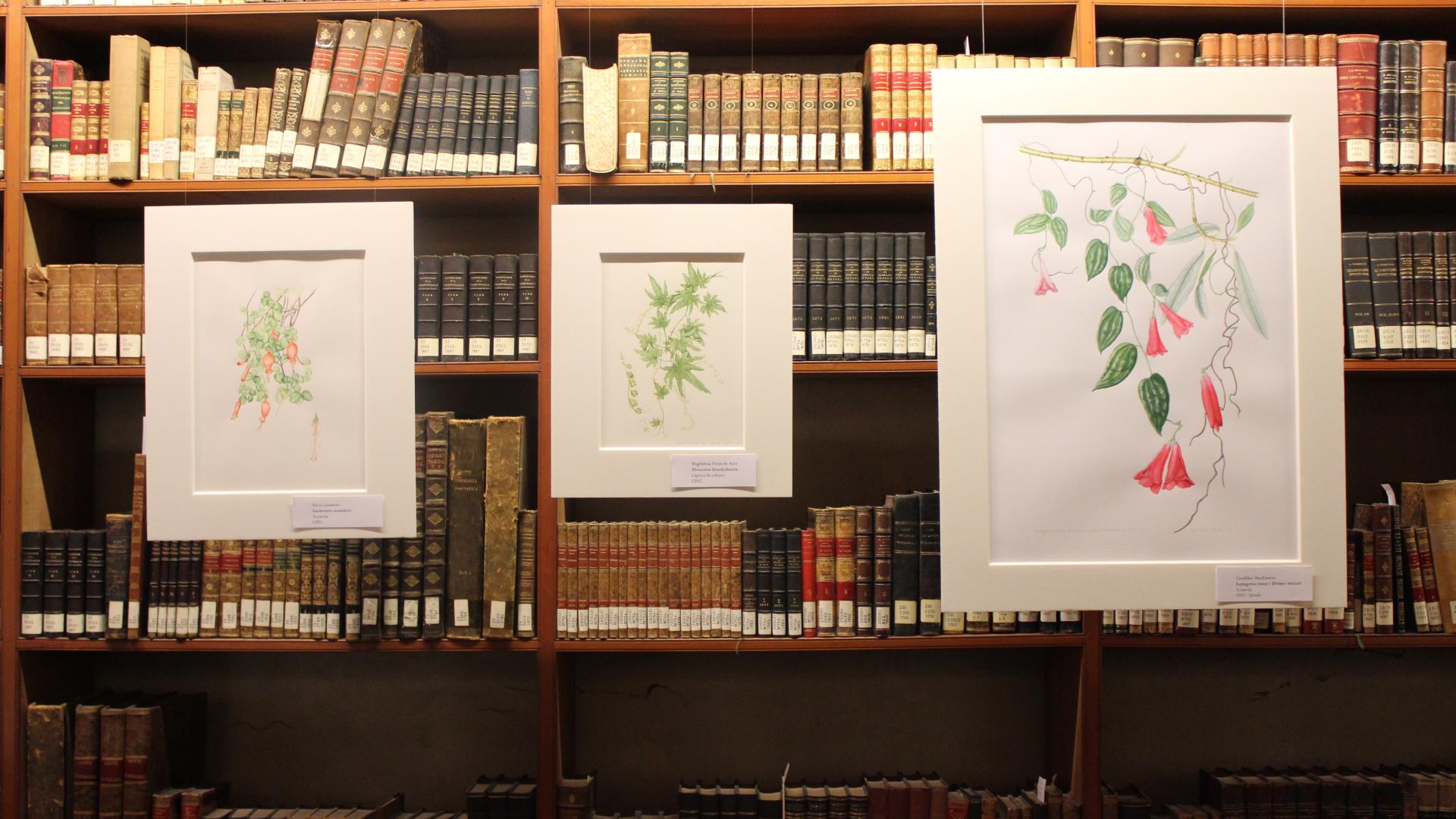 Vista de la exposición Vista de la exposición con las ilustraciones que participaron en el concurso