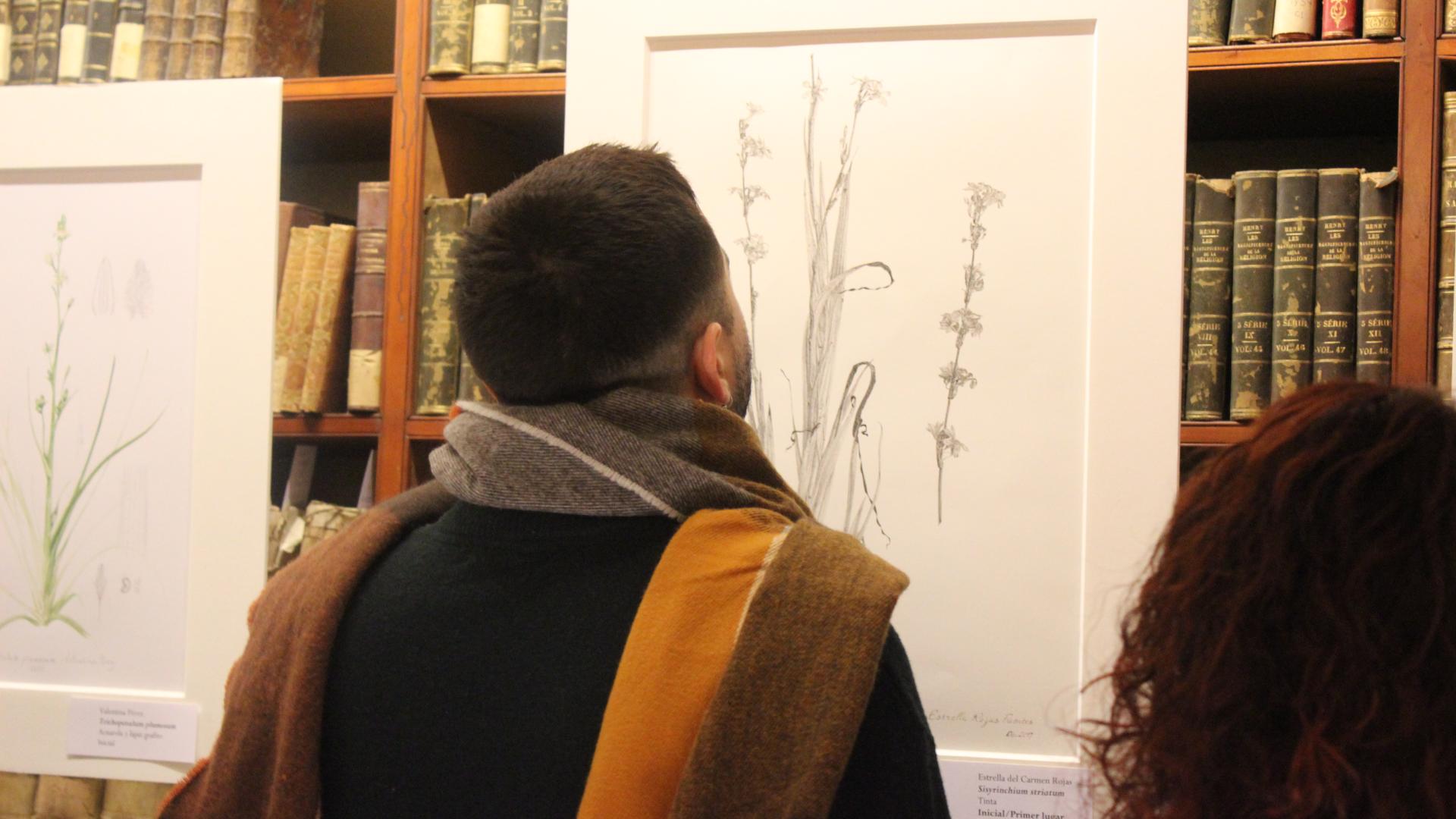 Exposición de ilustración botánica 2018 Exposición de ilustración botánica 2018