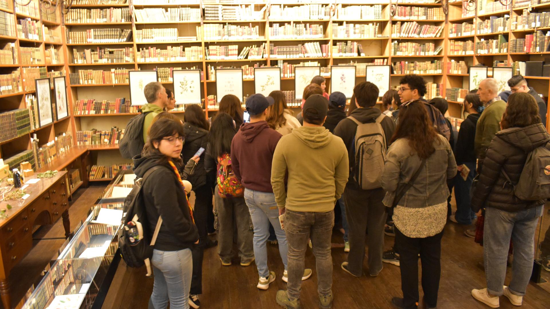 Visita guiada a biblioteca
