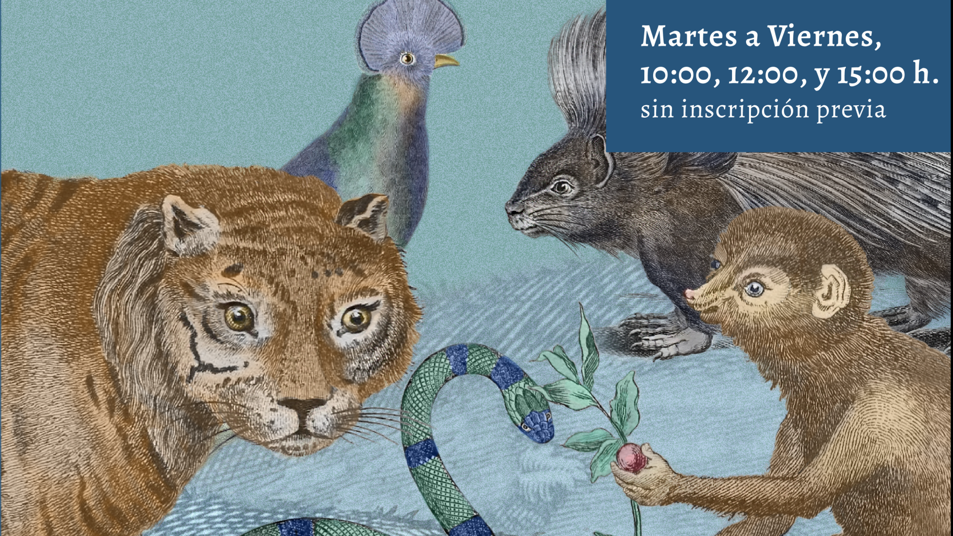Gráfica realizada para la exposición