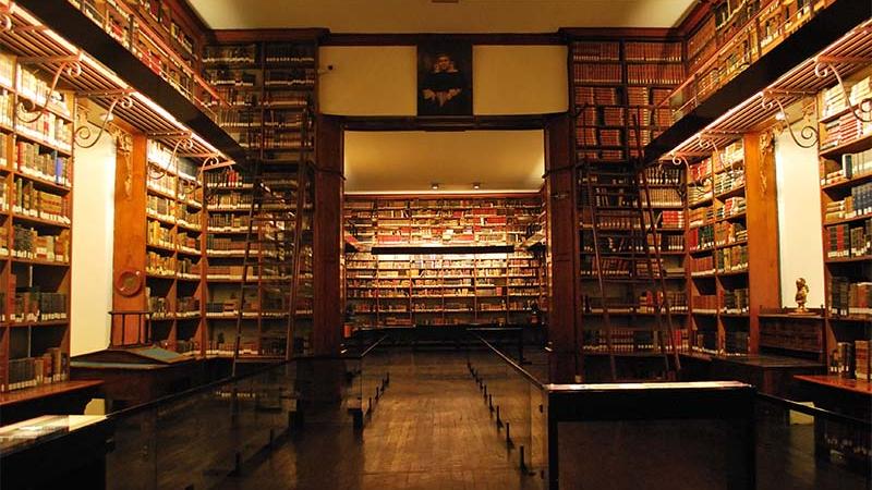 Vista interior de la Biblioteca