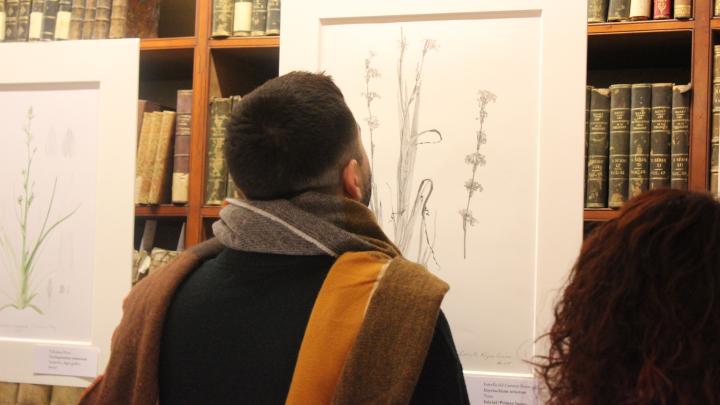 Exposición de ilustración botánica 2018