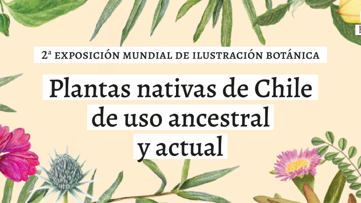 Exposición Ilustración Botánica