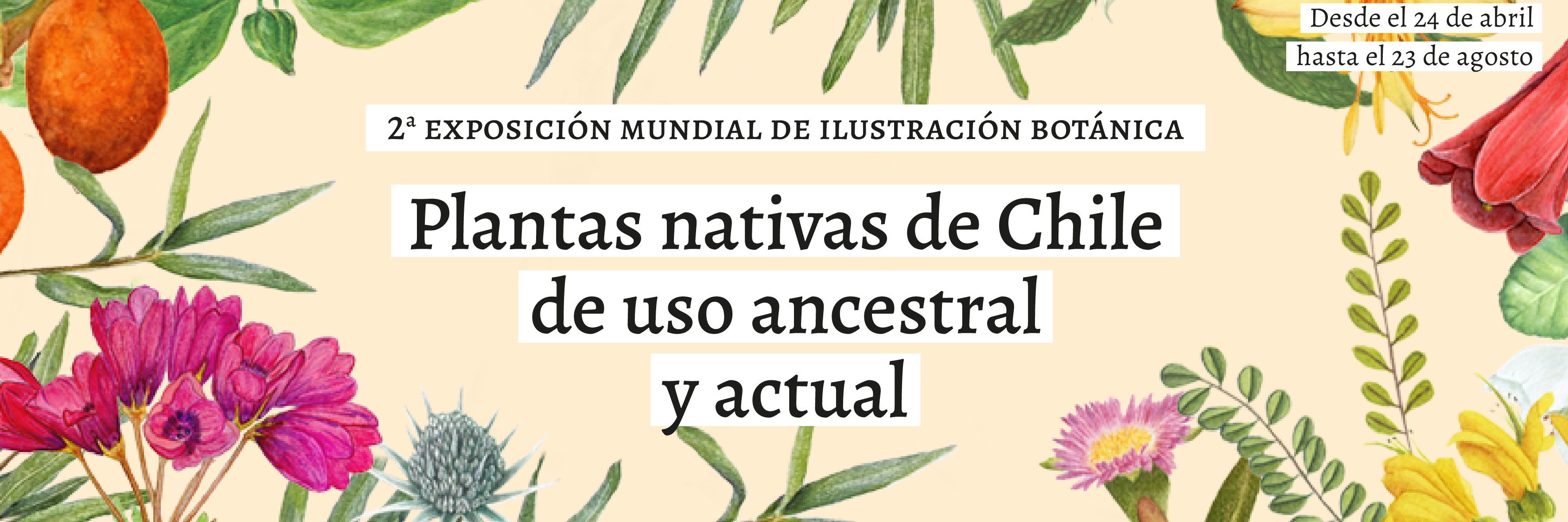 Exposición Ilustración Botánica