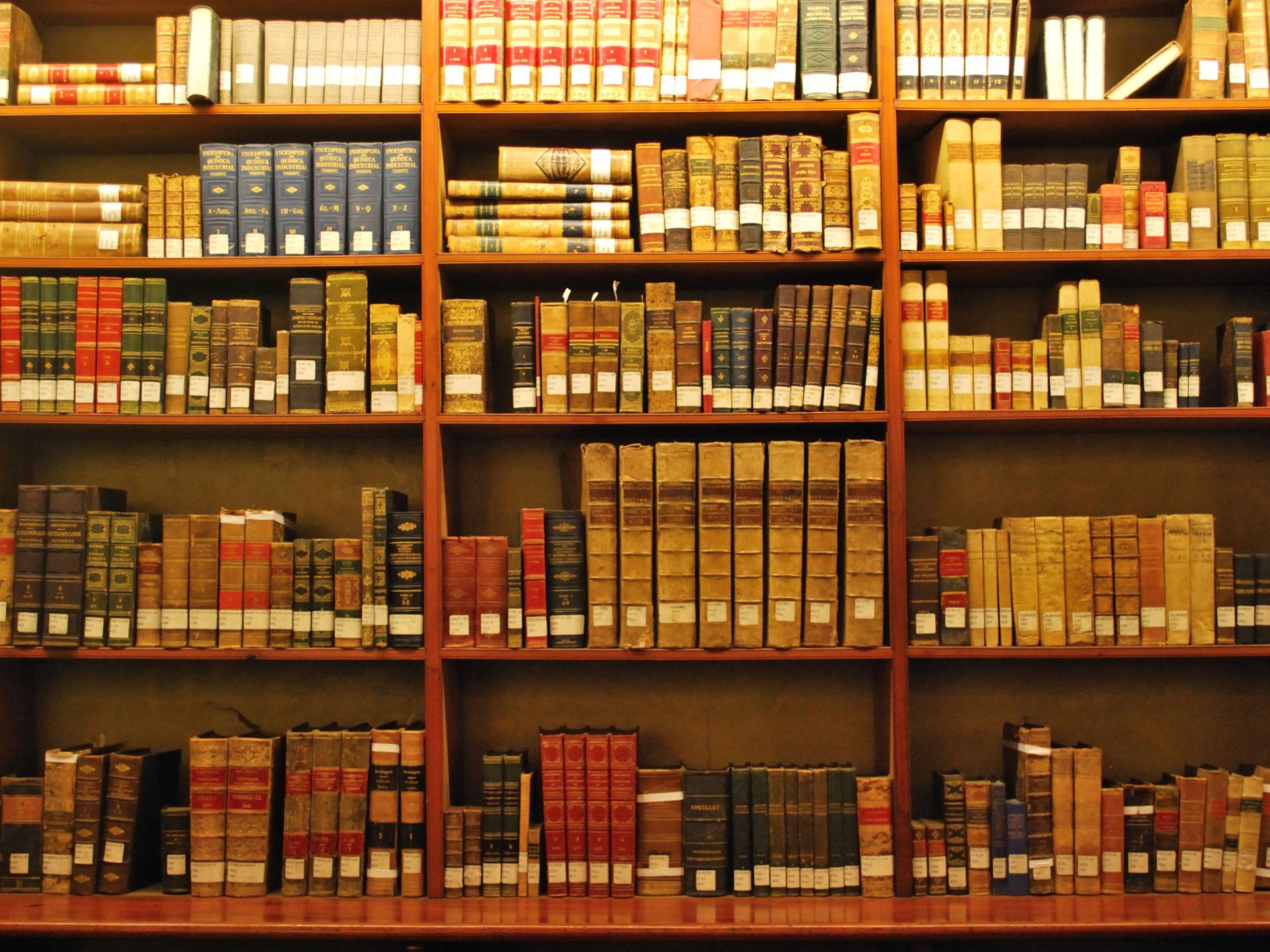 Vista de los anaqueles de la Biblioteca