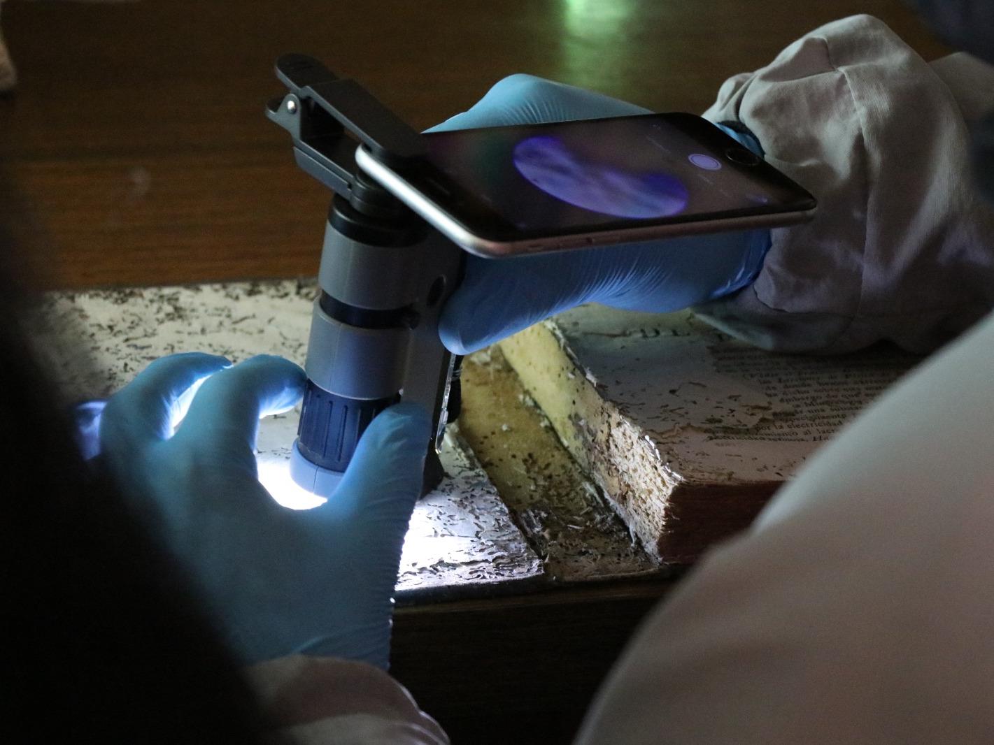 Laboratorio de bibliófagos: observación microscópica de daños causados por insectos en libros 