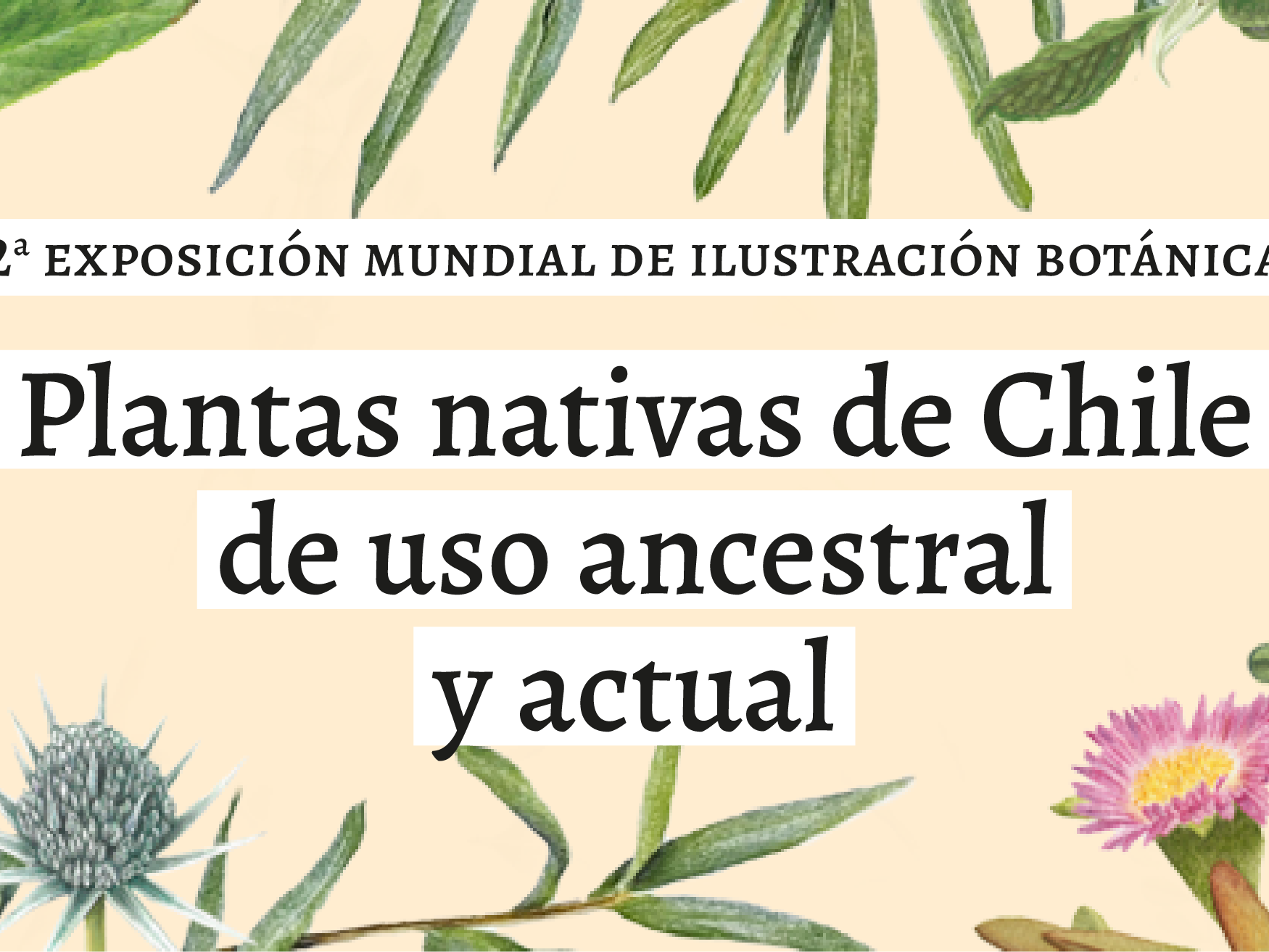 Gráfica de la exposición