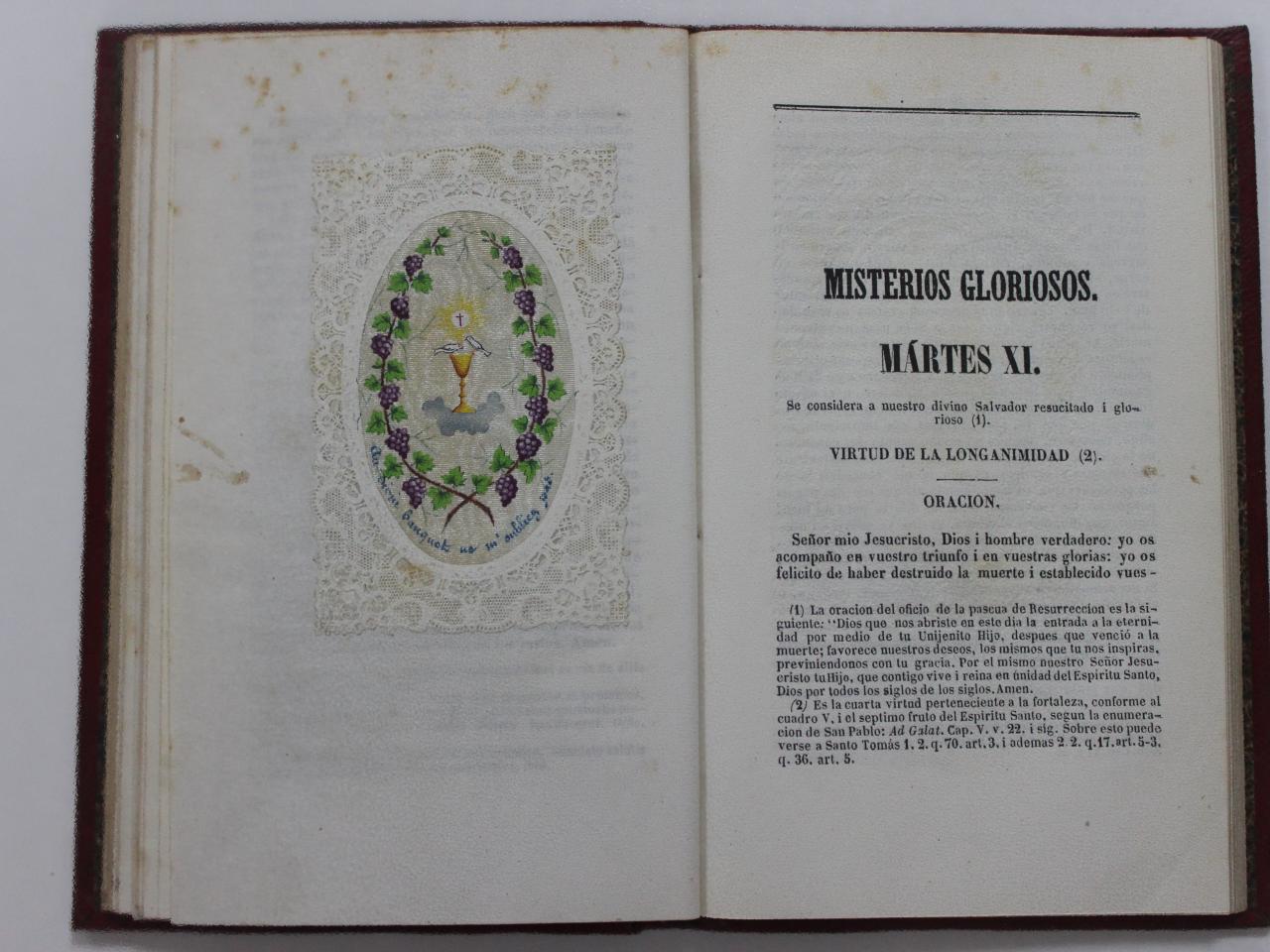 Libro de fray Domingo Aracena Quincena