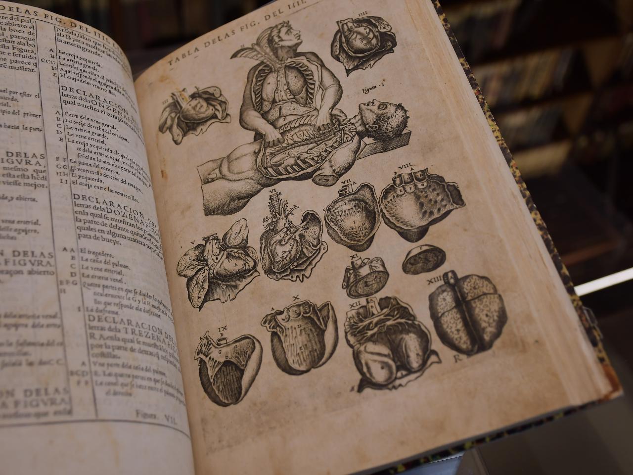 Valverde Historia de la Composición del cuerpo humano