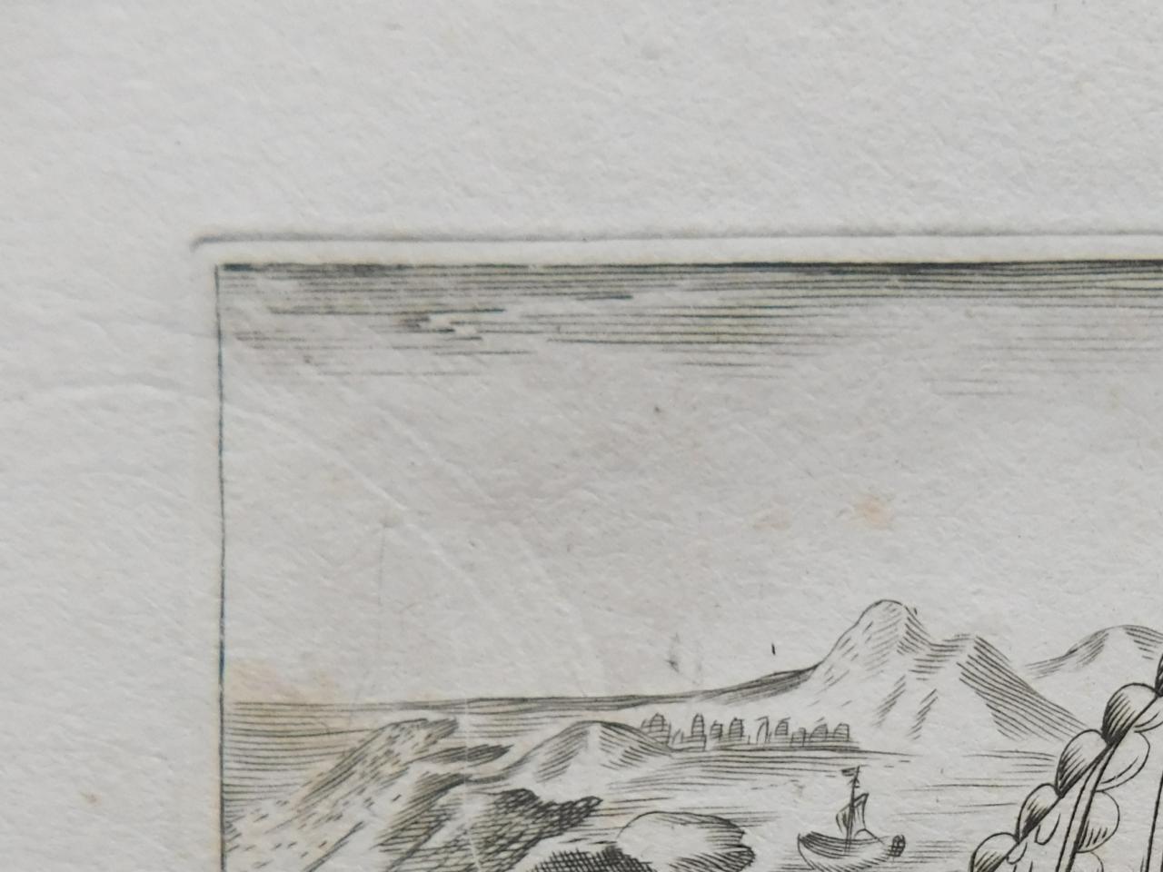Nova raccolta Tempesta Porco Marino