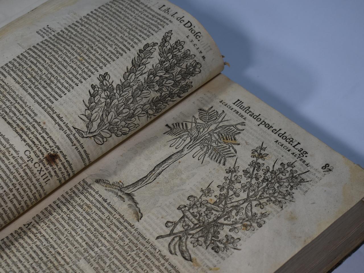 De la materia médica