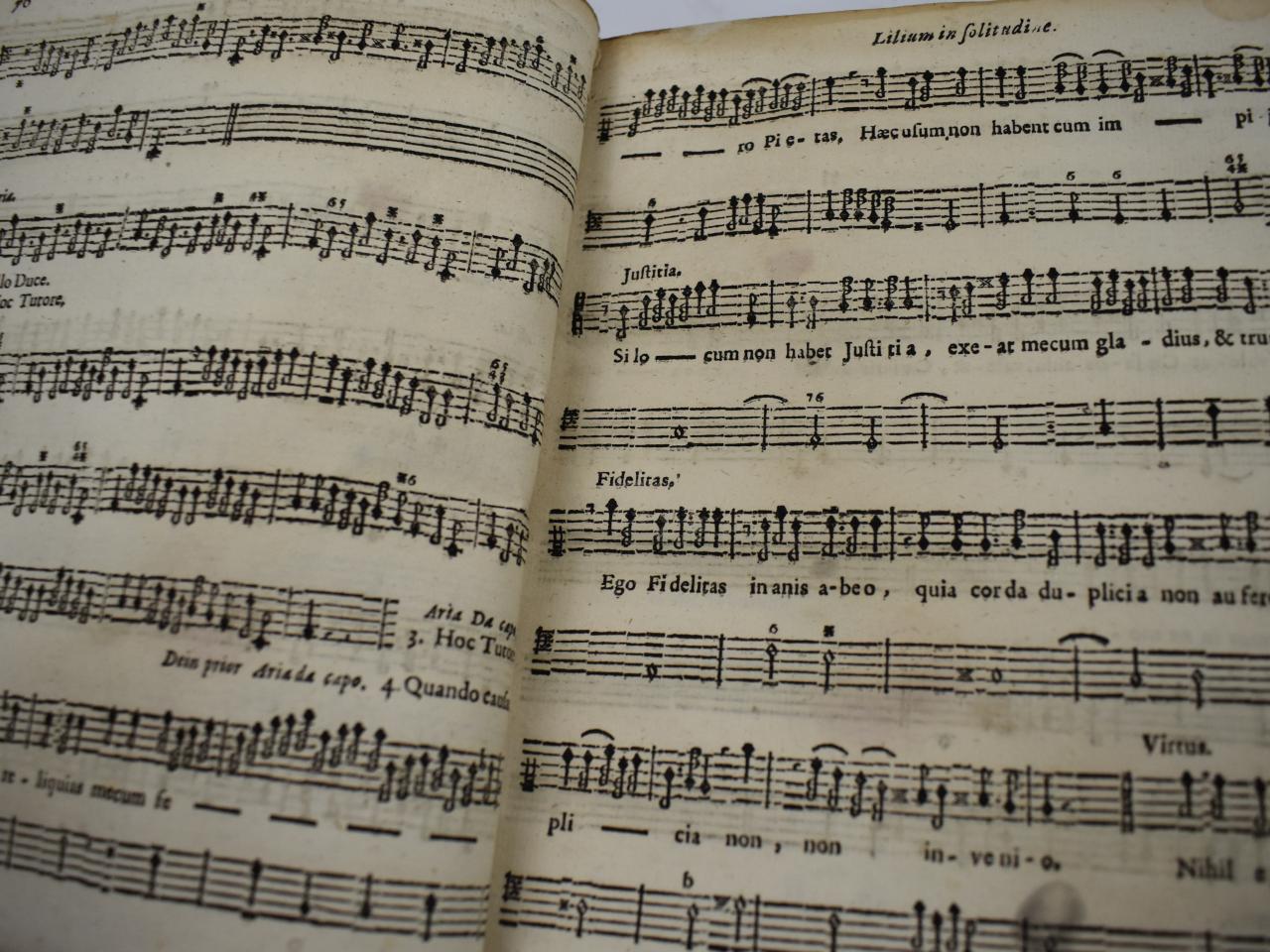 Theatrum Affectuum Humanorum / Theatrum Doloris et Amoris