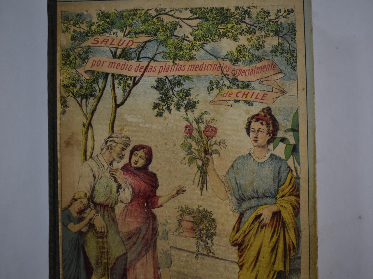 Salud por medio de las plantas medicinales