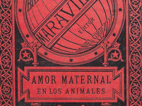 Portada El amor maternal en los animales