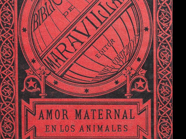 Miniatura