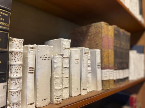 Detalle de libros de porcelana y ejemplares patrimoniales en un estante