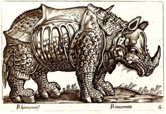 Rinoceronte en libro de Antonio Tempesta, 1650. Colección BPRD