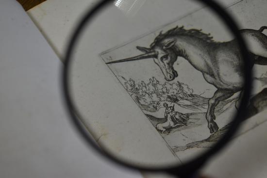 Detalle de una estampa del libro de Antonio Tempesta vista con lupa
