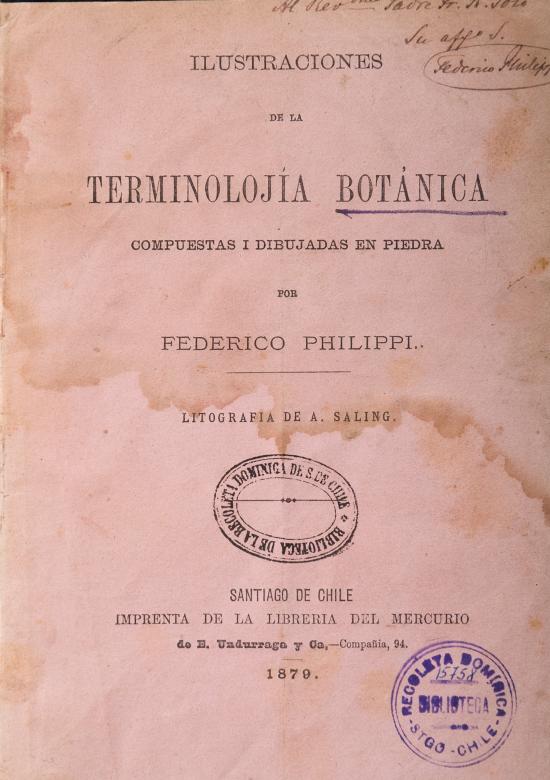 Ilustraciones de la terminolojía botánica