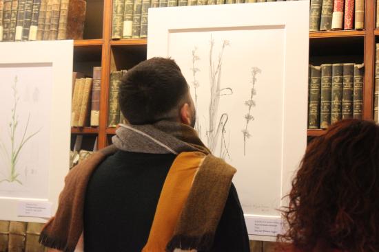 Exposición de ilustración botánica 2018