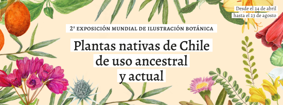 Exposición Ilustración Botánica