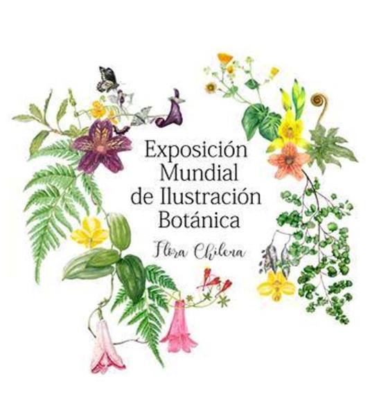 Gráfica de la exposición