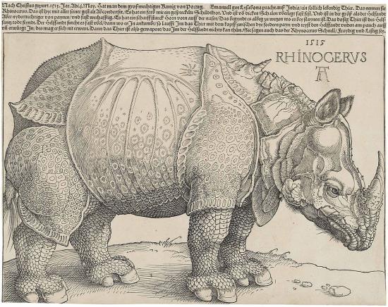 Grabado del rinoceronte de Durero
