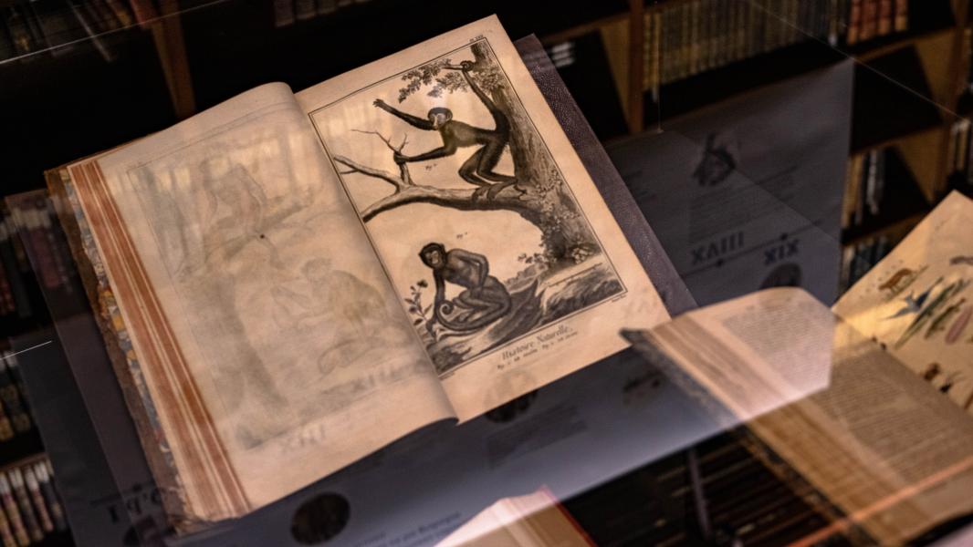 Enciclopedia en exhibición