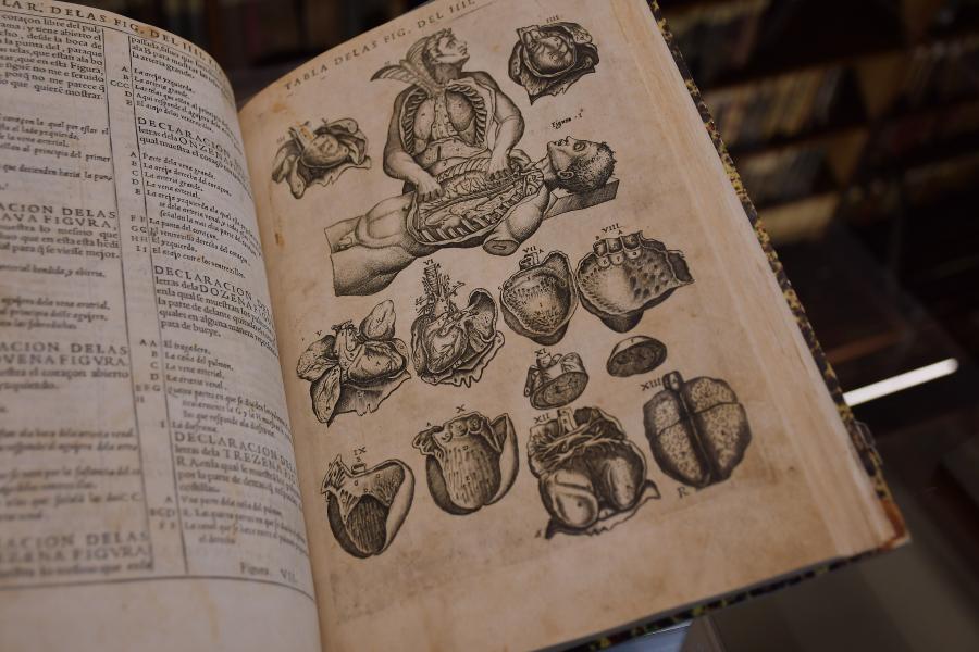 Valverde Historia de la Composición del cuerpo humano