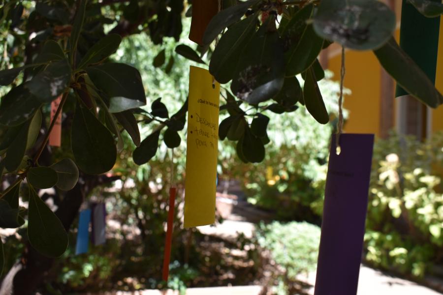 Varios papeles con impresiones del público