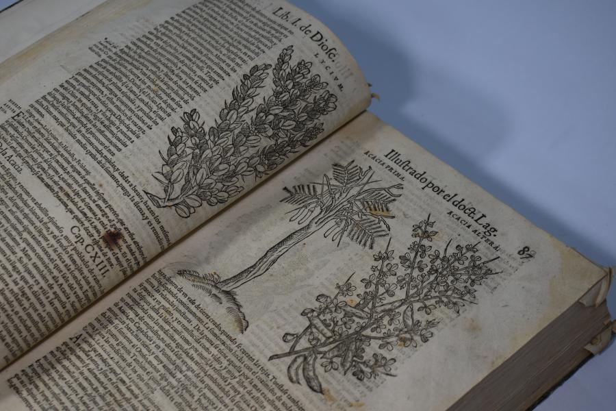 De la materia médica