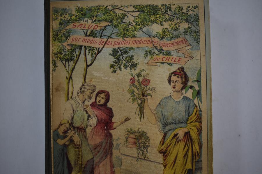 Salud por medio de las plantas medicinales