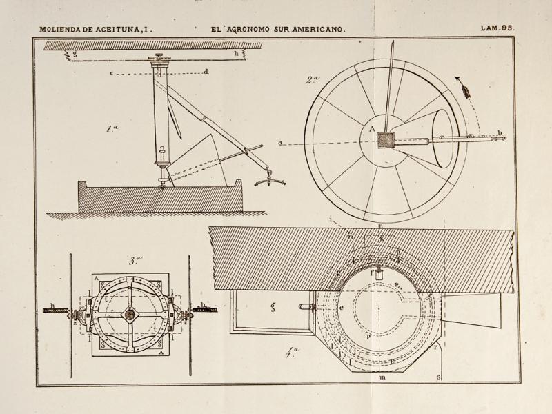 Molienda de aceituna I