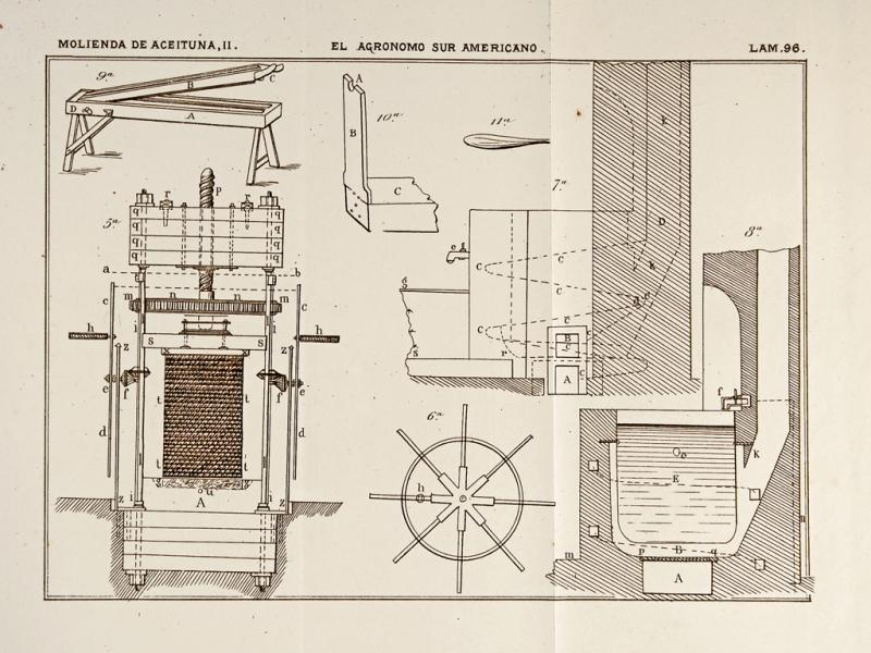 Molienda de aceituna II
