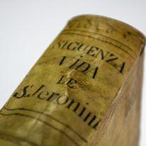 La vida de san Gerónimo doctor de la Santa Iglesia