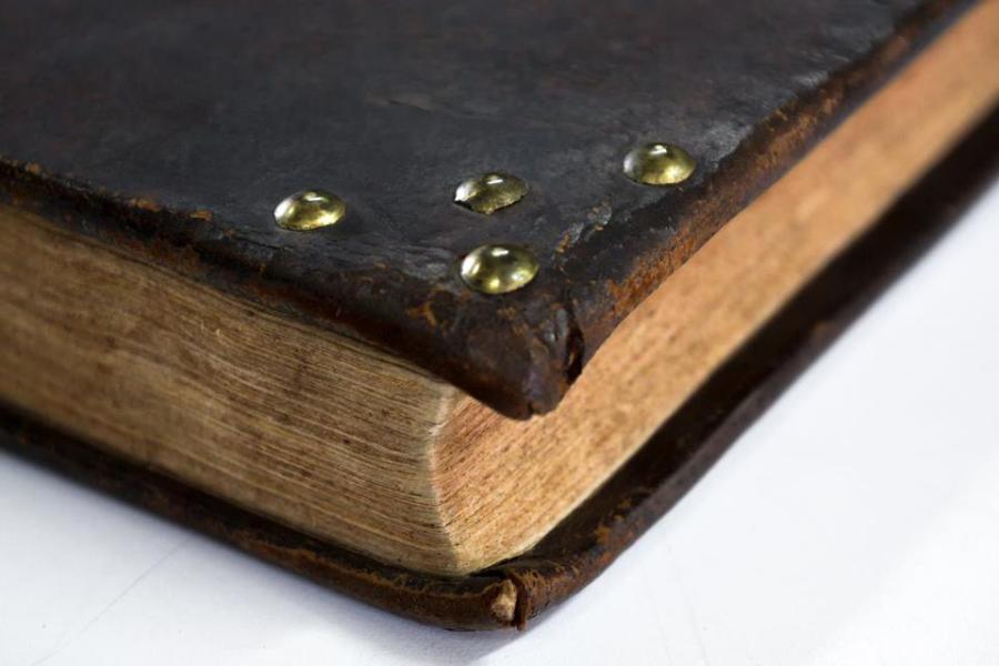 Harmonia macrocosmica