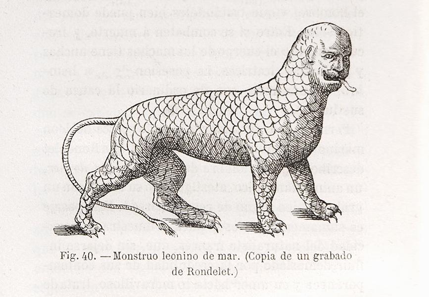Monstruo leonino del mar. Copia de un grabado de Rondelet Monstruo leonino del mar. Copia de un grabado de Rondelet