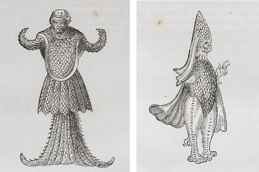 Lienzo de ilustraciones, copia grabados de Rondelet Lienzo de ilustraciones, copia grabados de Rondelet