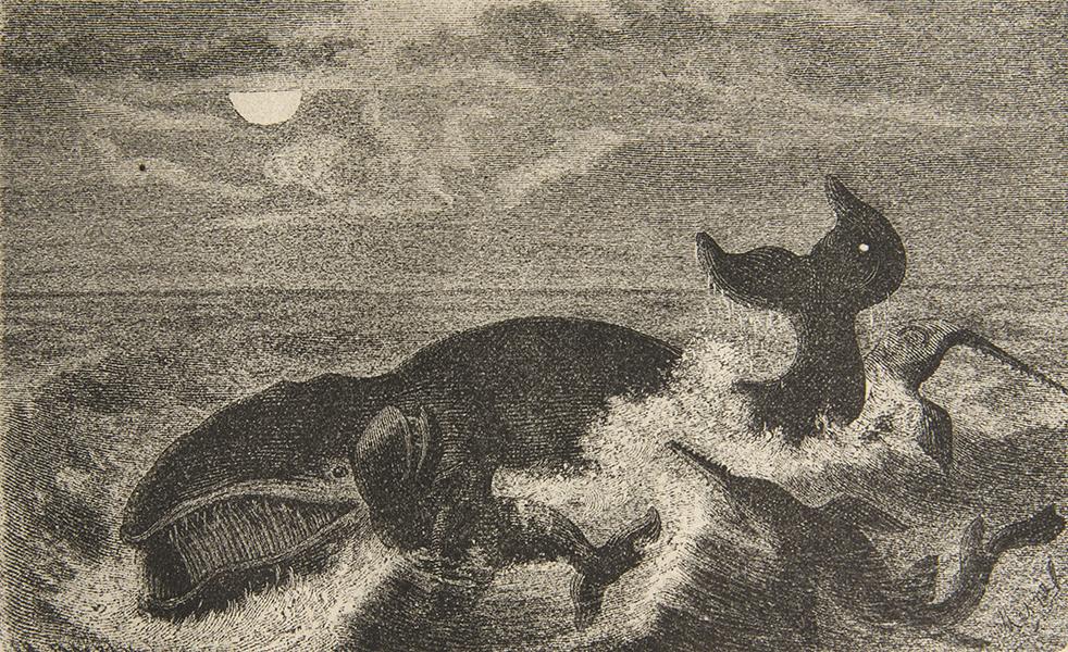 Ballena protegiendo en su aleta a su pequeñuelo