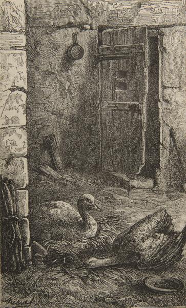 Oca que muere junto a su nido