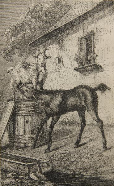 Un potro y su nodriza