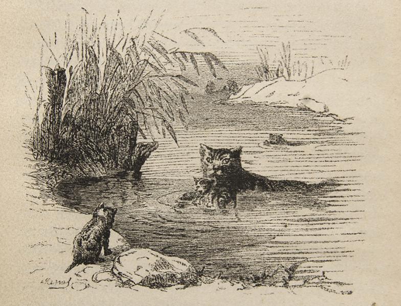 Gata sacando del agua a sus crías