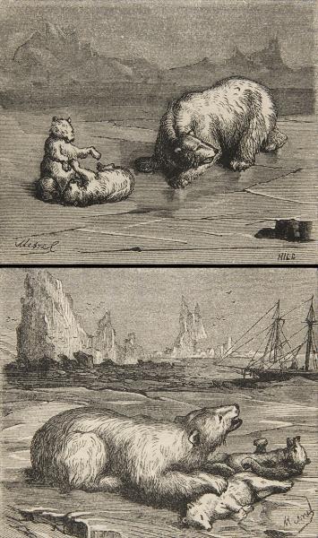 Lienzo láminas caza de osos