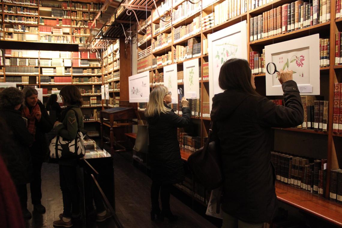 Visitantes revisando con lupas algunas láminas de una exposición temporal 