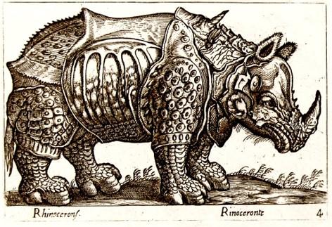 Rinoceronte de Tempesta