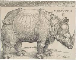 Grabado de rinoceronte, por Alberto Durero