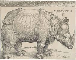 Rinoceronte de Alberto Durero Grabado de rinoceronte, por Alberto Durero