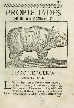 Rinoceronte Valdecebro